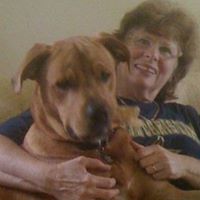 Shelia Mays Photo 3