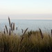 Barbara Fox Photo 48