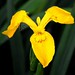 David Brading Photo 16