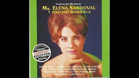 Elena Sandoval Photo 35