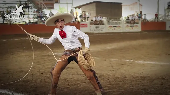 Diego Ibarra Photo 19