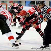Peter Bradford Photo 11