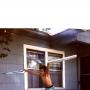 William Rainer Photo 16