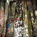 John Deveney Photo 19