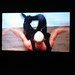 Whitney Newsome Photo 32