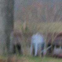 Rhonda Morton Photo 3