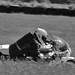 Brian Purdy Photo 34