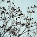 David Stieg Photo 20