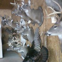 Jeff King Photo 2