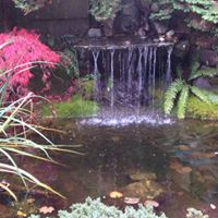Carol Dole Photo 1