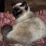 Mary Loftin Photo 10