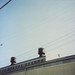 James Storch Photo 19