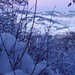 Dawn Luna Photo 39