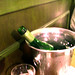 Laurie Siciliano Photo 10