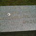 Stephen Hinds Photo 35