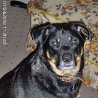 Susan Oneill Photo 4