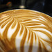 Rosetta Sweet Photo 11