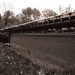 Allen Friedman Photo 38