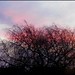Dawn Urban Photo 30