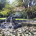 Marlow Peterson Photo 13