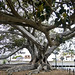 Barbara Bays Photo 27