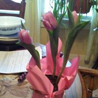 Brenda Andrews Photo 3