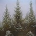David Tannen Photo 16