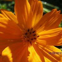 Cathy Brenner Photo 4