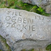 Jill Ogden Photo 31