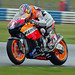 Dennis Hayden Photo 40