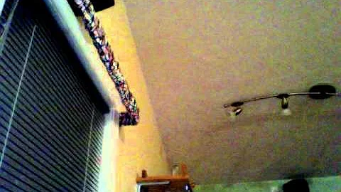 Stephen Lamonica Photo 14