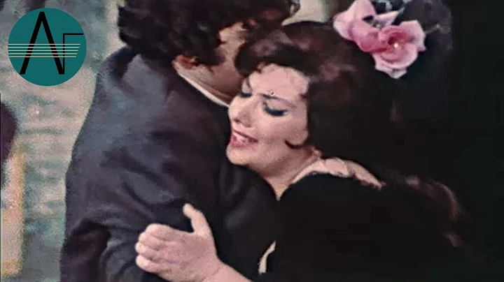 Carmen Nolan Photo 13