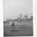 Jessie Chang Photo 35