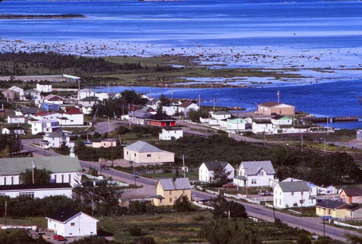 William Cashin Photo 5