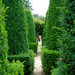 Holly Johnston Photo 40
