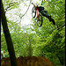 Daryl Brown Photo 46