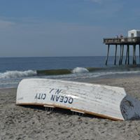 Sandy Lauer Photo 5