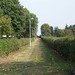Beth Carter Photo 51