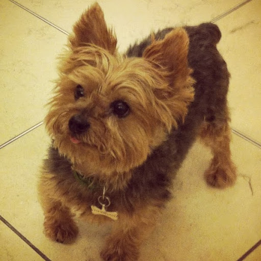 Phoebe Brown Photo 15