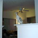 Rex Kelley Photo 32