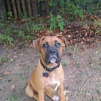Carla Brewer Photo 10