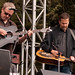 Tim Stafford Photo 42