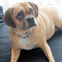Lola Olson Photo 2