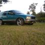 Paul Kirsch Photo 20