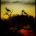 David Carballo Photo 34