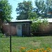 Dorothy Mitchell Photo 40