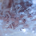 Simon Winters Photo 20