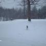 Carol Sutphin Photo 15