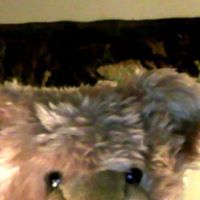 Ted Younger Photo 2