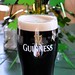 Patrick Feehan Photo 34